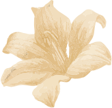 Thai Massage in Thane